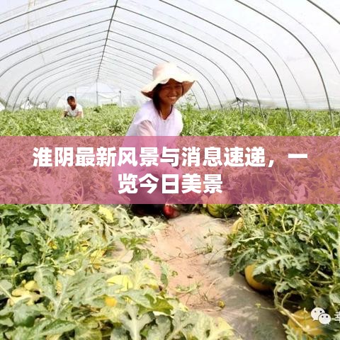 淮阴最新风景与消息速递，一览今日美景