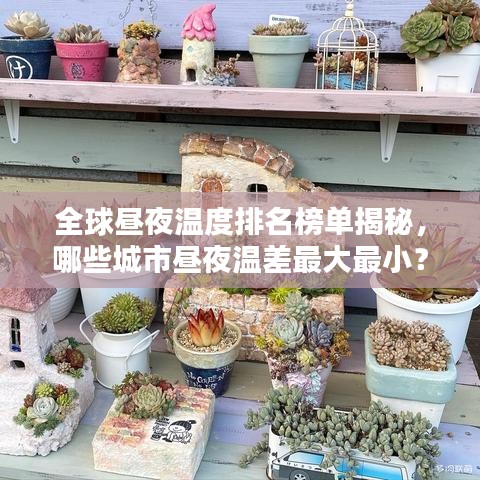 全球昼夜温度排名榜单揭秘，哪些城市昼夜温差最大最小？
