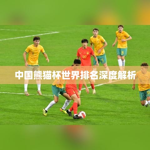 中国熊猫杯世界排名深度解析