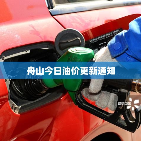 舟山今日油价更新通知