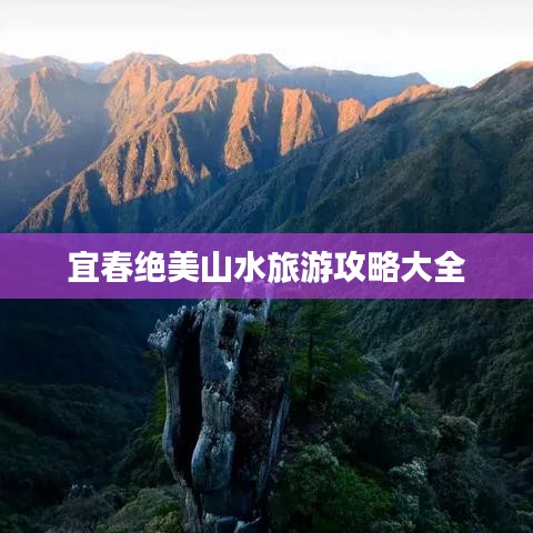 展翅高飞 第2页