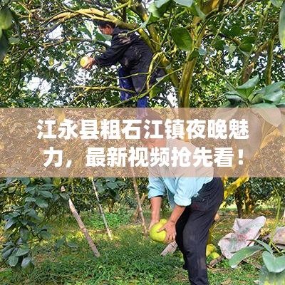 江永县粗石江镇夜晚魅力，最新视频抢先看！
