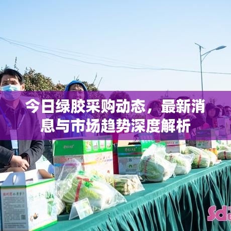 今日绿胶采购动态，最新消息与市场趋势深度解析