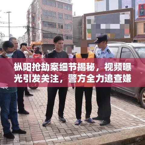 枞阳抢劫案细节揭秘，视频曝光引发关注，警方全力追查嫌犯下落