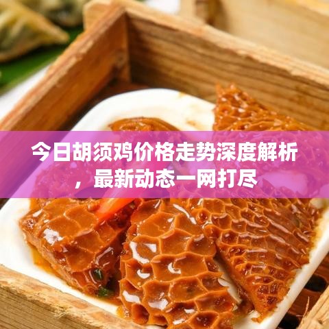 今日胡须鸡价格走势深度解析，最新动态一网打尽