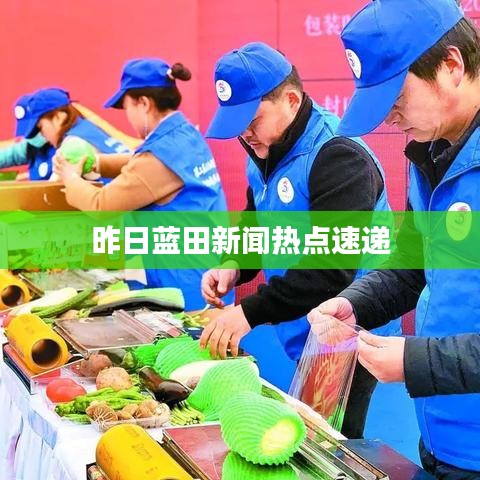 昨日蓝田新闻热点速递