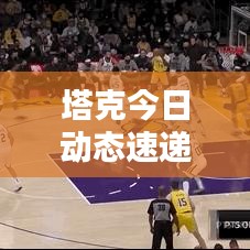 塔克今日动态速递，最新消息一览