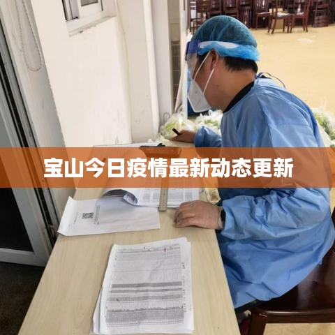 宝山今日疫情最新动态更新