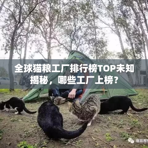 寥寥无几 第2页