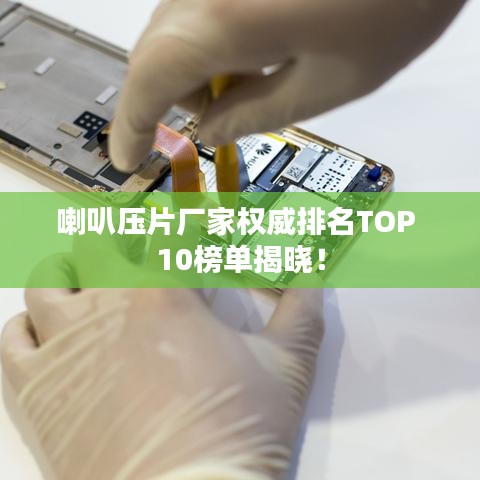 澹泊明志 第2页