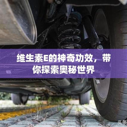 维生素E的神奇功效，带你探索奥秘世界