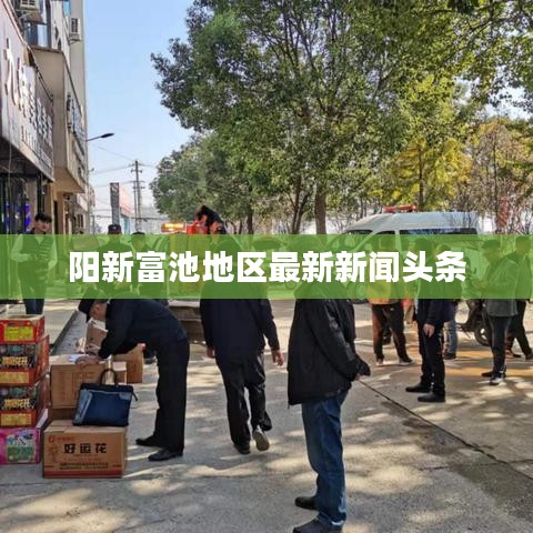 阳新富池地区最新新闻头条