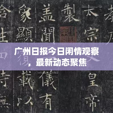 广州日报今日闲情观察，最新动态聚焦