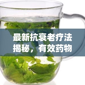 最新抗衰老疗法揭秘，有效药物与策略探寻