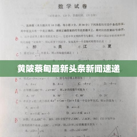 黄陂蔡甸最新头条新闻速递