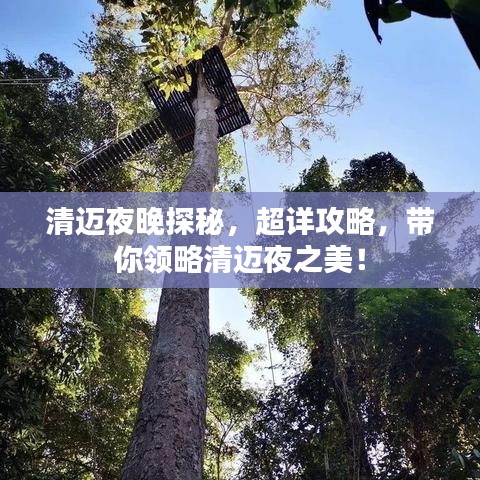行百里者半九十 第2页