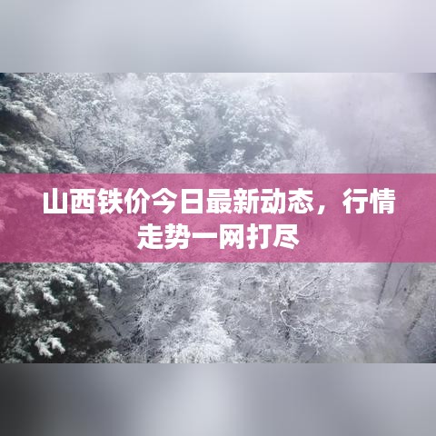 山西铁价今日最新动态，行情走势一网打尽