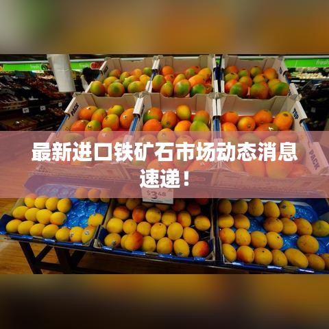最新进口铁矿石市场动态消息速递！