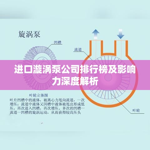 进口漩涡泵公司排行榜及影响力深度解析
