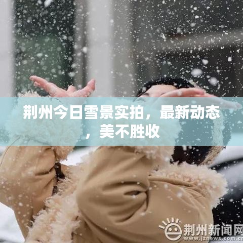 荆州今日雪景实拍，最新动态，美不胜收