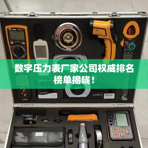 数字压力表厂家公司权威排名榜单揭晓！