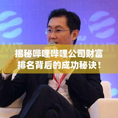 揭秘哔哩哔哩公司财富排名背后的成功秘诀！