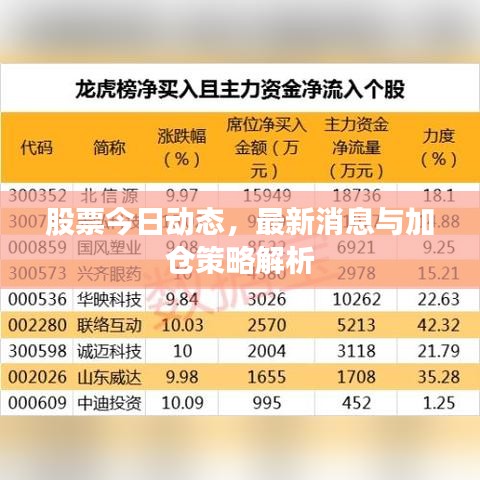 股票今日动态，最新消息与加仓策略解析