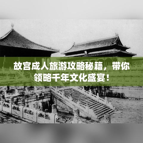 故宫成人旅游攻略秘籍，带你领略千年文化盛宴！