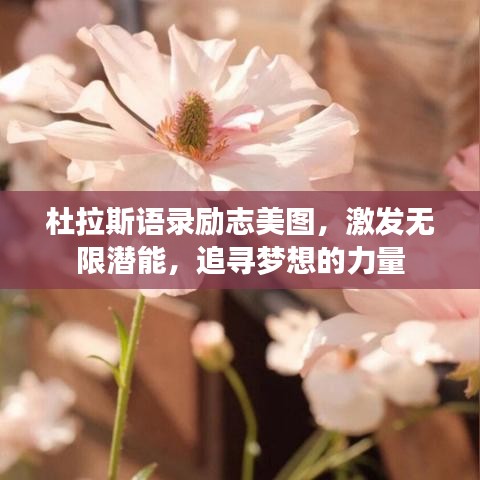 杜拉斯语录励志美图，激发无限潜能，追寻梦想的力量
