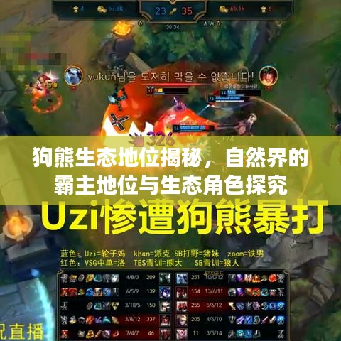 狗熊生态地位揭秘，自然界的霸主地位与生态角色探究