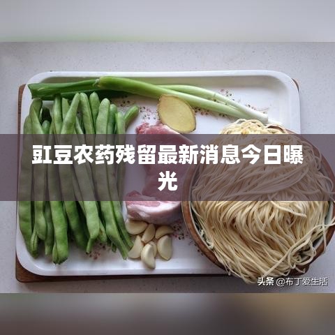 豇豆农药残留最新消息今日曝光