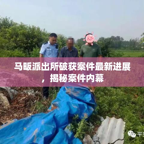 马畈派出所破获案件最新进展，揭秘案件内幕