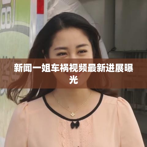 新闻一姐车祸视频最新进展曝光