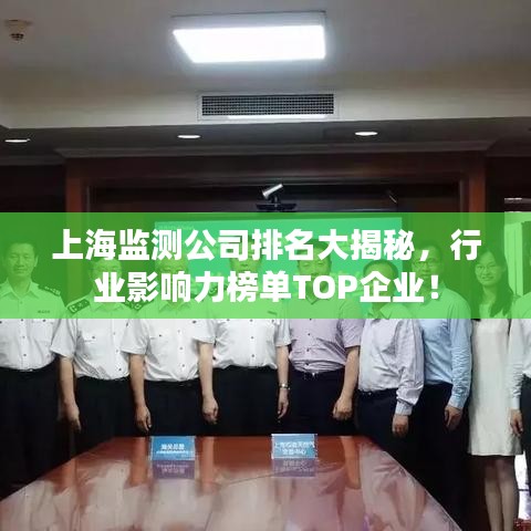 上海监测公司排名大揭秘，行业影响力榜单TOP企业！