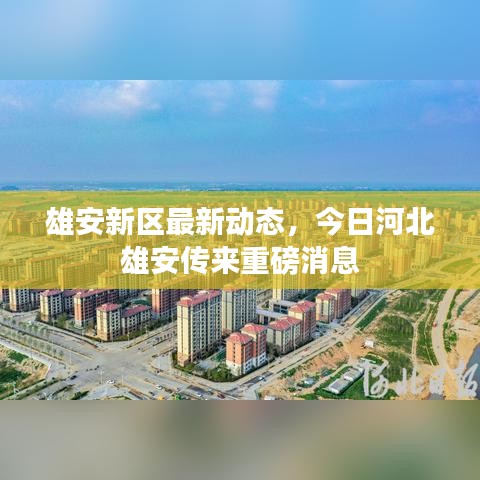 雄安新区最新动态，今日河北雄安传来重磅消息