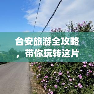 台安旅游全攻略，带你玩转这片美景胜地！
