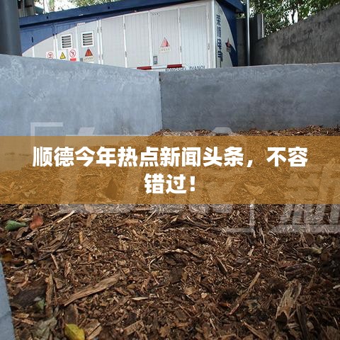 顺德今年热点新闻头条，不容错过！