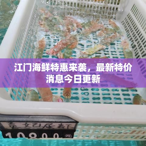 江门海鲜特惠来袭，最新特价消息今日更新