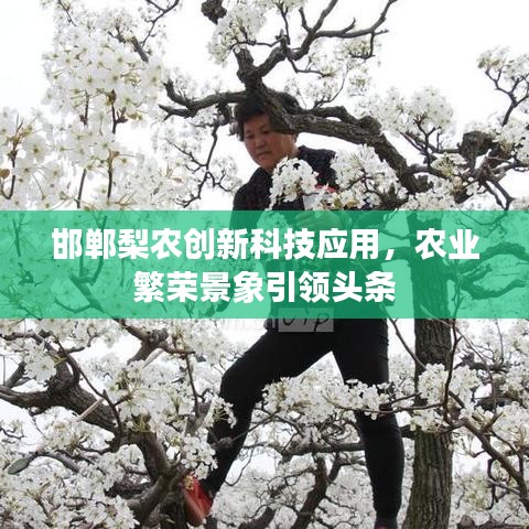 邯郸梨农创新科技应用，农业繁荣景象引领头条