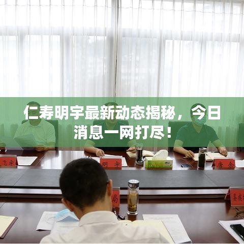 仁寿明宇最新动态揭秘，今日消息一网打尽！