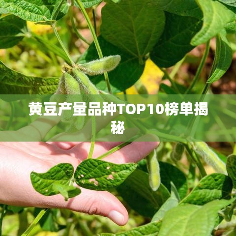 黄豆产量品种TOP10榜单揭秘