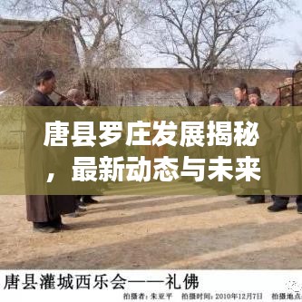 唐县罗庄发展揭秘，最新动态与未来趋势重磅报道