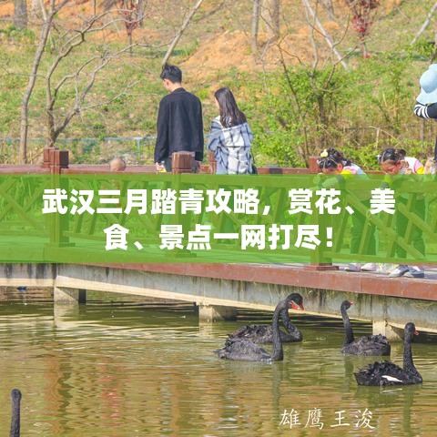 武汉三月踏青攻略，赏花、美食、景点一网打尽！
