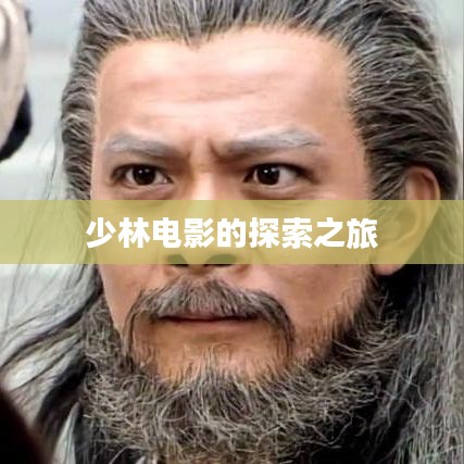 少林电影的探索之旅