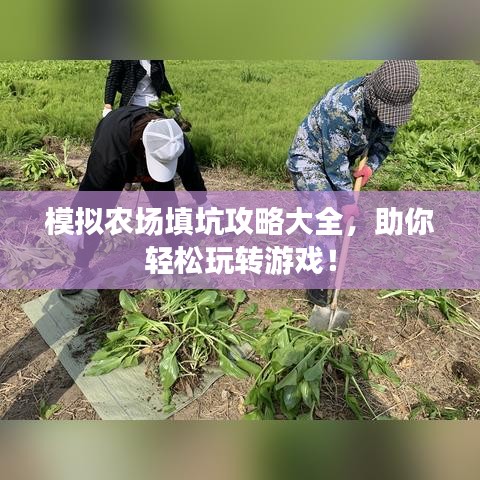 模拟农场填坑攻略大全，助你轻松玩转游戏！