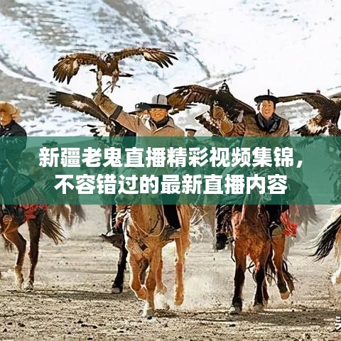 新疆老鬼直播精彩视频集锦，不容错过的最新直播内容