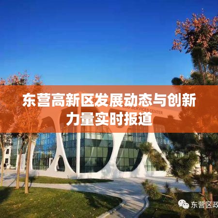 东营高新区发展动态与创新力量实时报道