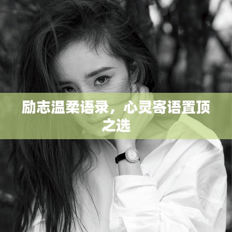 励志温柔语录，心灵寄语置顶之选