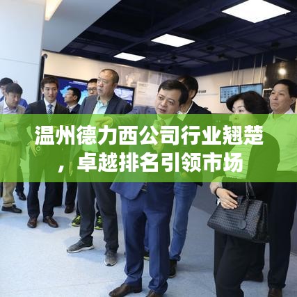 温州德力西公司行业翘楚，卓越排名引领市场