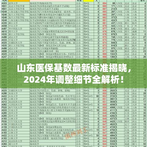 山东医保基数最新标准揭晓，2024年调整细节全解析！